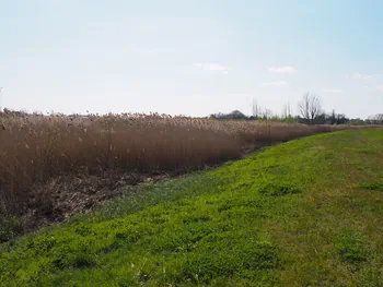 Kalkense Meersen (België)